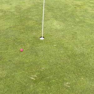 Meet your Posher, Gail